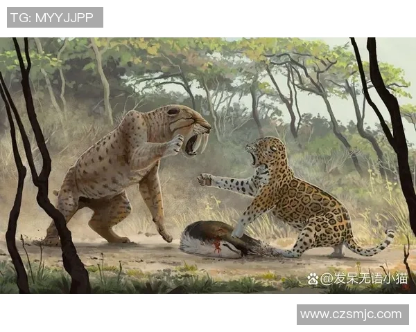 美洲狮与美洲虎的实力对决谁才是美洲的顶级掠食者